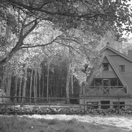 Hotel Wyrwidab Chodziez Exterior photo